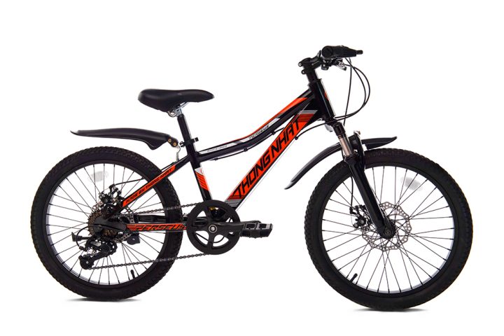 XDTN_MTB2004_Temcam-720x480