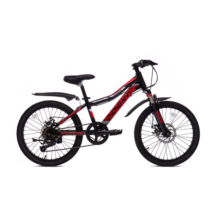 XDTN_MTB2004_Temdo-720x480